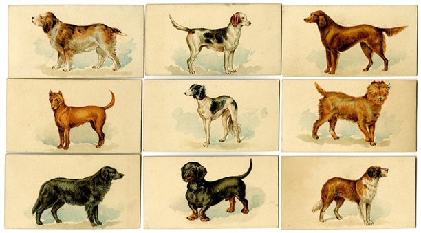1890 N163 Goodwin "Dogs of the World" Complete Set (50) 
